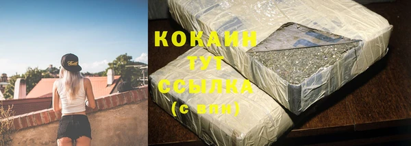 гидра Осинники