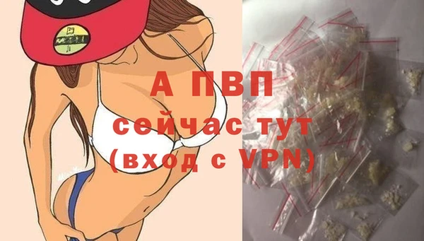 ГАЛЛЮЦИНОГЕННЫЕ ГРИБЫ Няндома