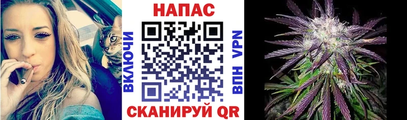 Каннабис SATIVA & INDICA  Ак-Довурак 